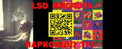 гашик Краснодар