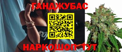 прущие грибы Краснознаменск