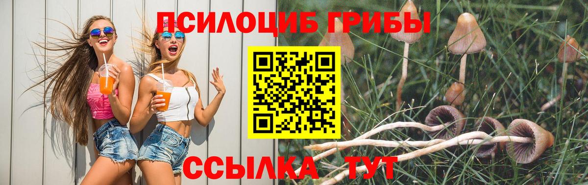 Псилоцибиновые грибы Psilocybine cubensis Ишимбай